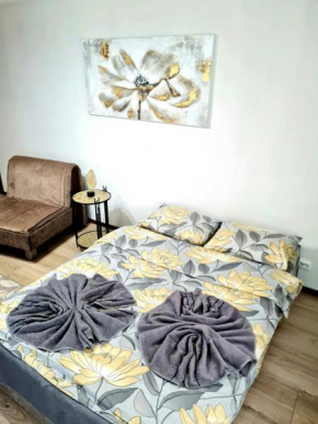 Jola's apartment in Kaunas